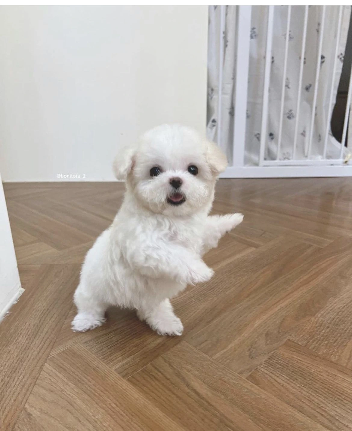 UrbanConnect brand logo